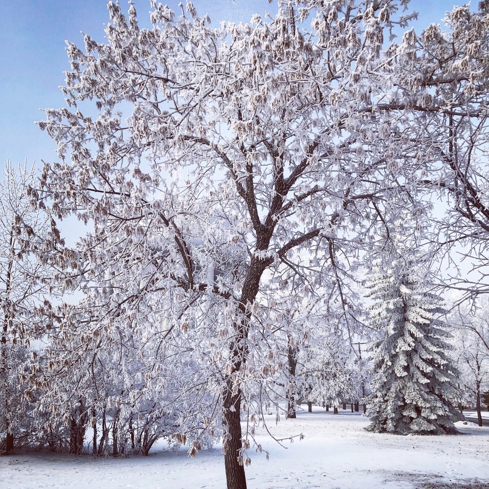 Meet your Posher, Regina